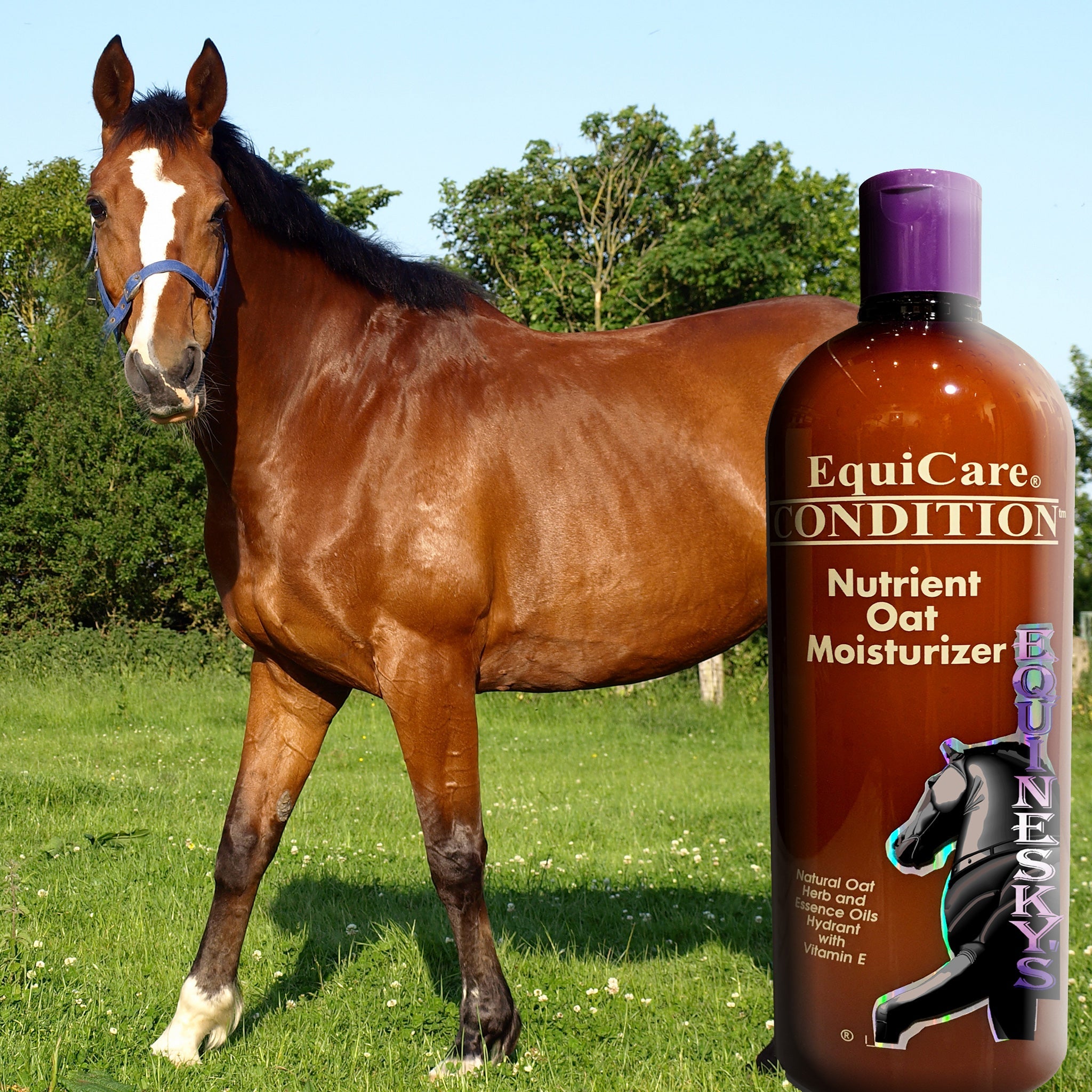 equineskys-condition-pferde-conditioner-m-hne-schweif-hafer-kokos image 2